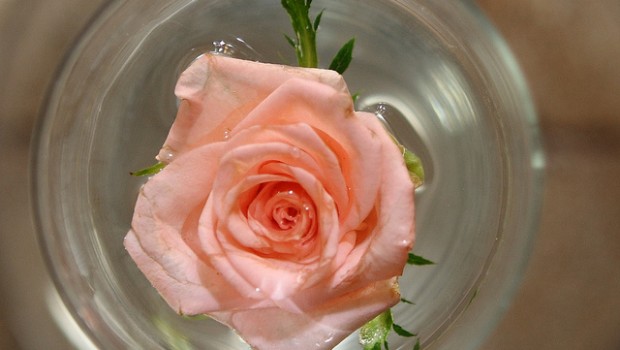 Acqua di rose fatta in casa: come realizzarla in poche mosse