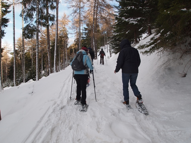 Merano - Boschi - Naturno