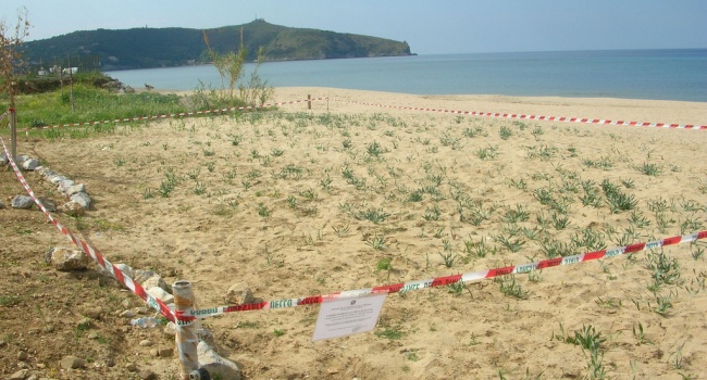 spiaggia-saline-palinuro