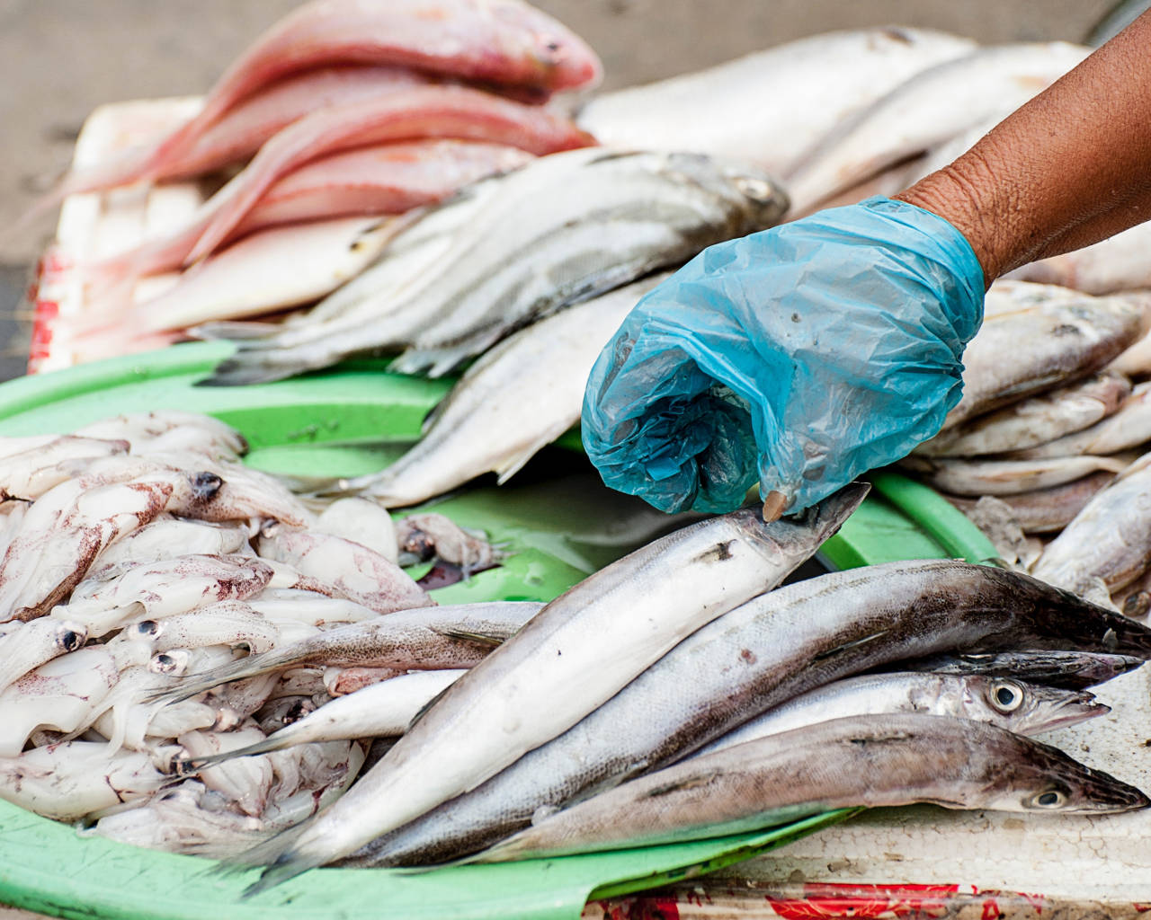 greenpeace plastica pesce mare