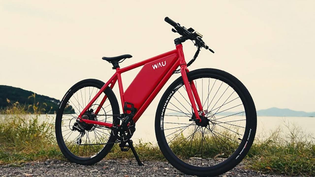 e-bike WAU caratteristiche