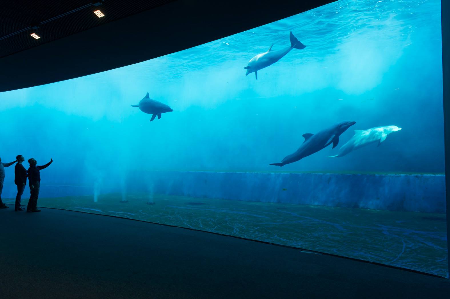 acquario di Genova