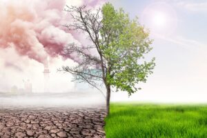 inquinamento atmosferico