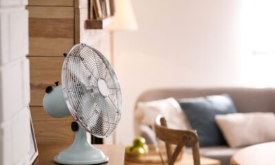 ventilatore elettrico