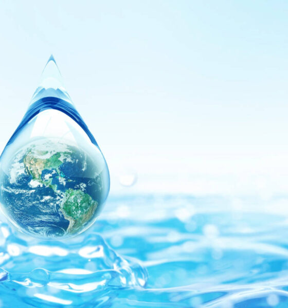acqua