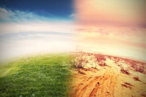 Alteration,Of,Natural,Environment,And,Global,Warming