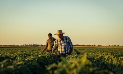 contadini, agricoltori controllano i campi