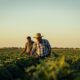 contadini, agricoltori controllano i campi