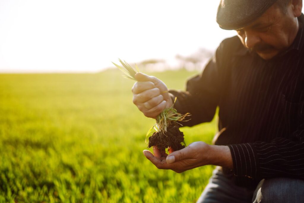 agricultura biologica