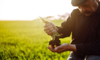 agricultura biologica