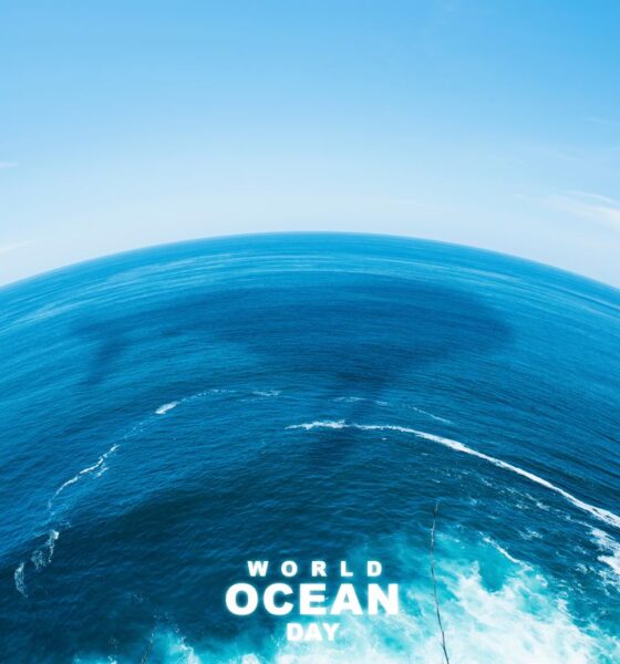 giornata mondiale oceani