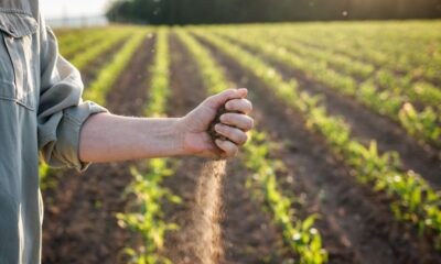 agricultura biologica