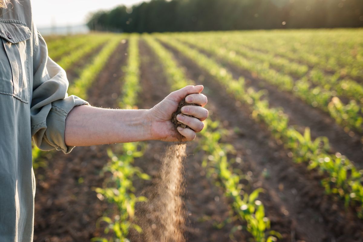 agricultura biologica