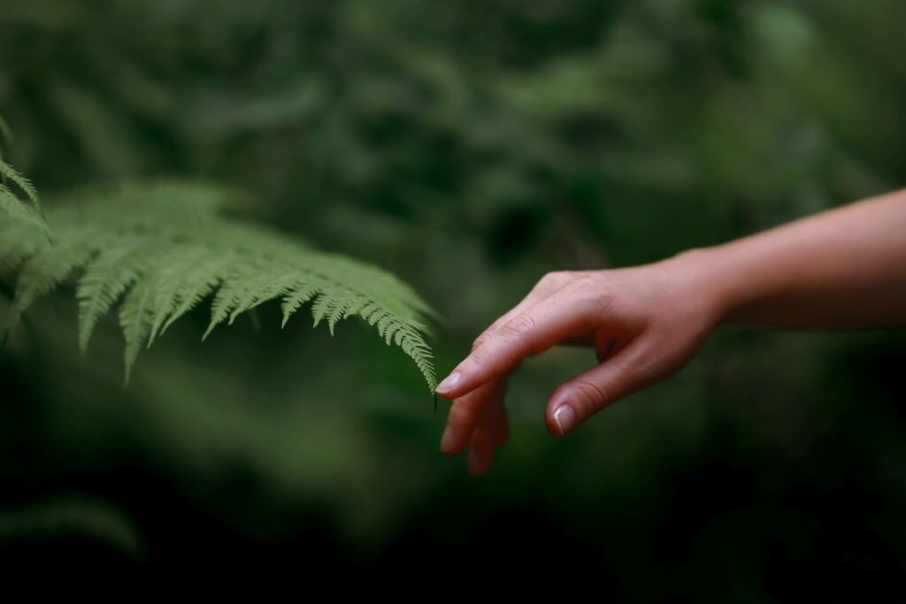 protezione delle aree naturali