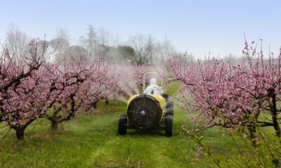 trattore sparge pesticidi