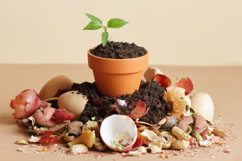 fertilizzanti organici compost