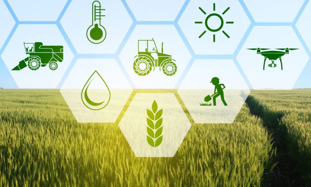 agricoltura sostenibile
