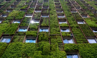 architettura sostenibile