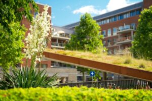 biodiversità urbana