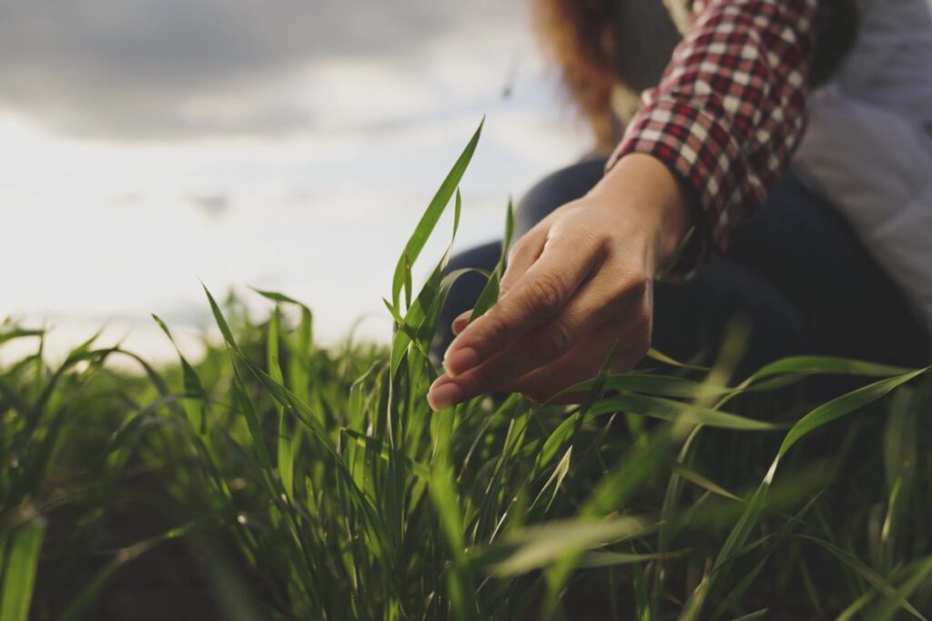 contadino, agricoltura sostenibile