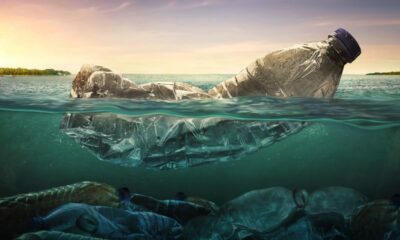 inquinamento plastica oceani