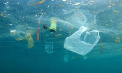 inquinamento mari e oceani con plastica