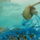 inquinamento degli oceani, rete di plastica tartaruga