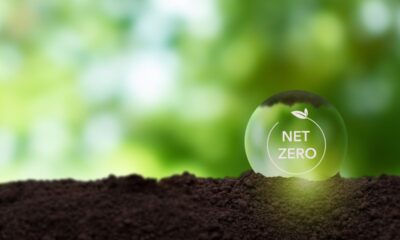 net zero