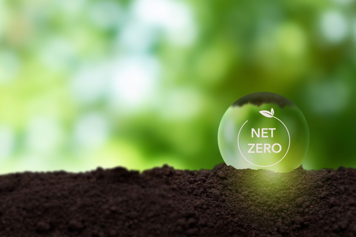 net zero