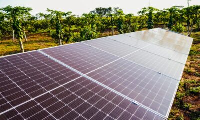 pannelli solari e fotovoltaici in agricoltura