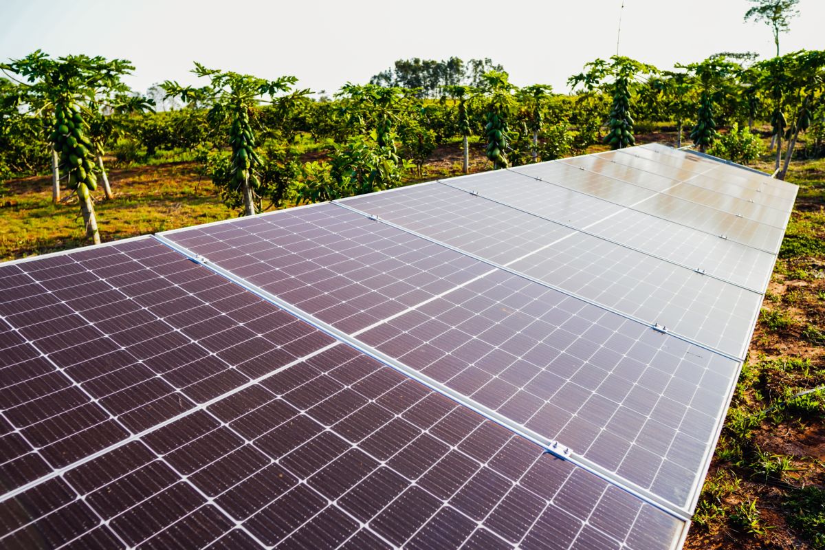 pannelli solari e fotovoltaici in agricoltura