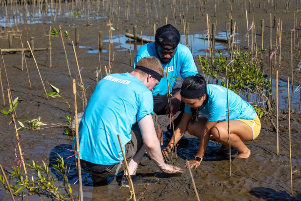 ragazzi volontari coltivano mangrovie per la conservazione dell'habitat