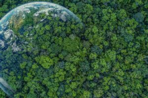 terra, alberi, biodiversità, riserve naturali