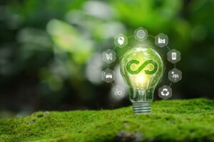 lampadina che rappresenta il concetto di economia green e circolare