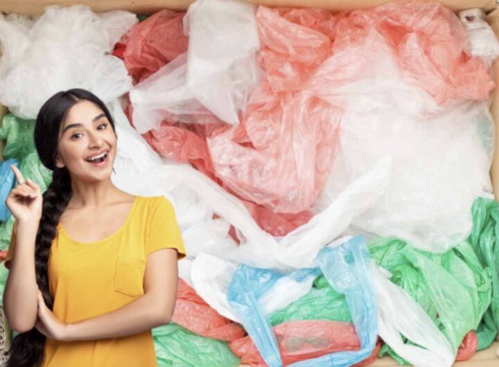 Questi sacchetti, spesso considerati monouso, possono invece essere riutilizzati in modi pratici e creativi sia dentro che fuori casa.
