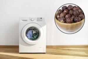Tra le alternative naturali che stanno guadagnando popolarità ci sono le noci saponine, un prodotto ottenuto dalla noce del sapone