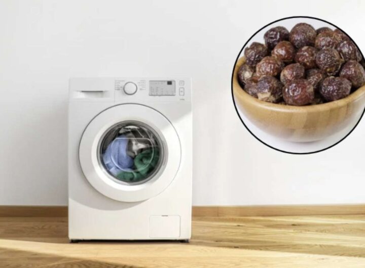 Tra le alternative naturali che stanno guadagnando popolarità ci sono le noci saponine, un prodotto ottenuto dalla noce del sapone