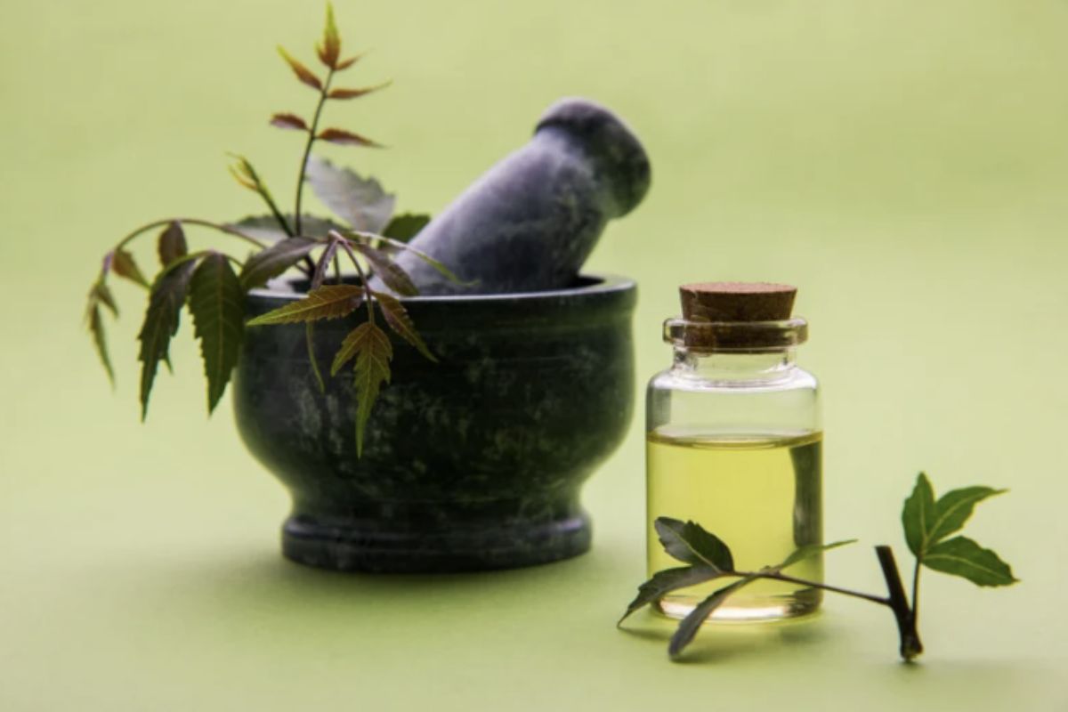 L’applicazione dell’olio di Neem richiede particolare attenzione. È importante nebulizzare l’intera pianta, assicurandosi di trattare