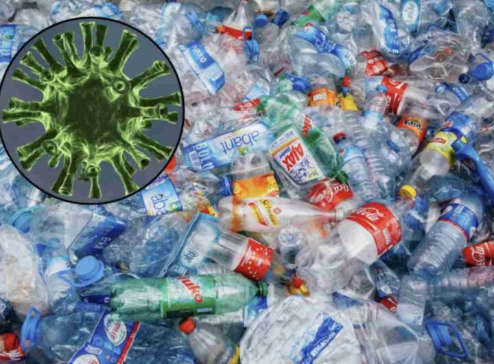 In questo contesto, un recente studio pubblicato sulla rivista Journal of Hazardous Materials ha rivelato un approccio innovativo per la depolimerizzazione
