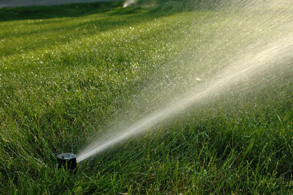 Irrigatore attivo che annaffia un prato verde
