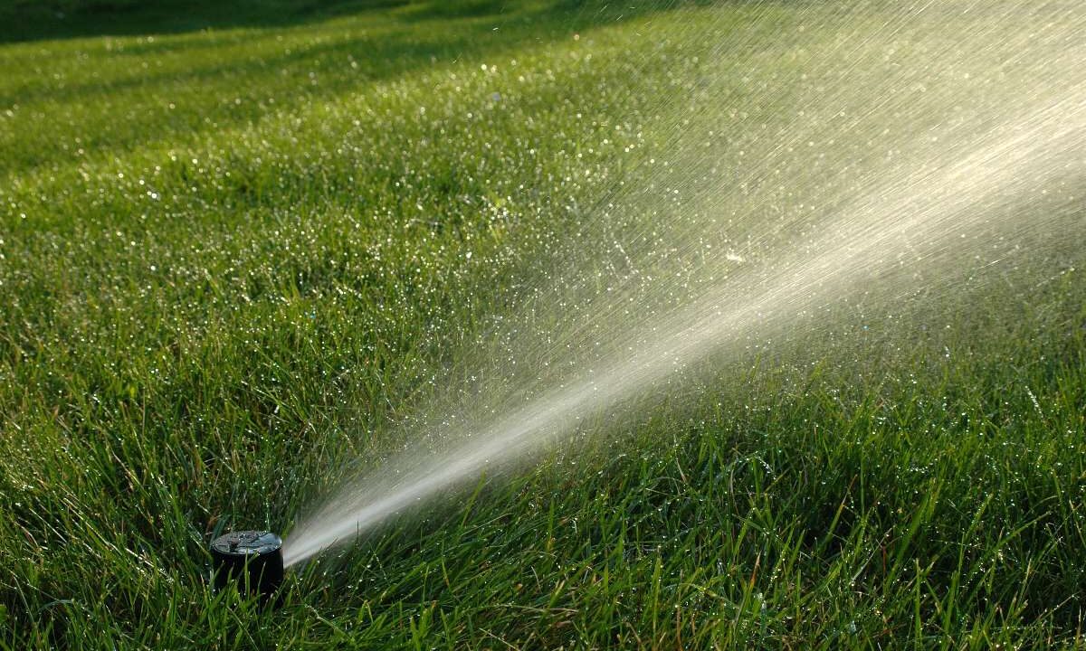 Irrigatore attivo che annaffia un prato verde