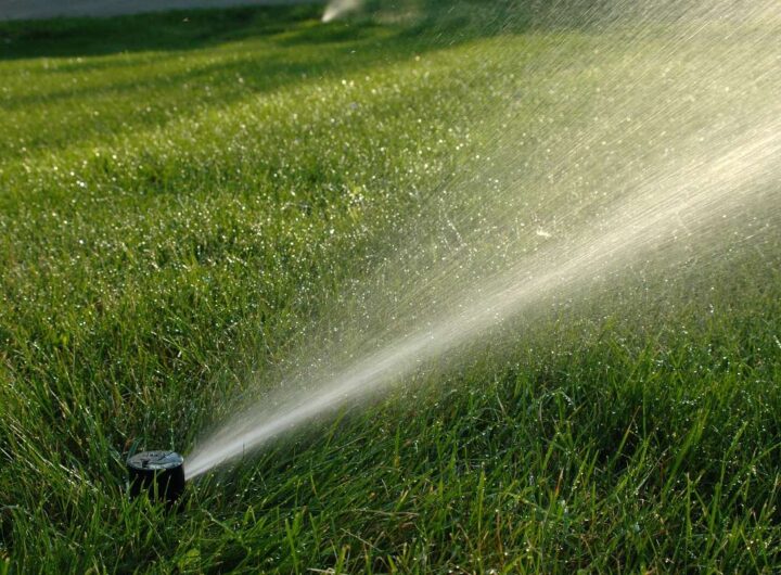 Irrigatore attivo che annaffia un prato verde