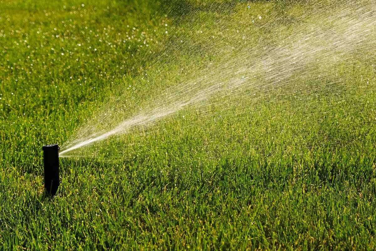 Spruzzo d'acqua da irrigatore su prato curato
