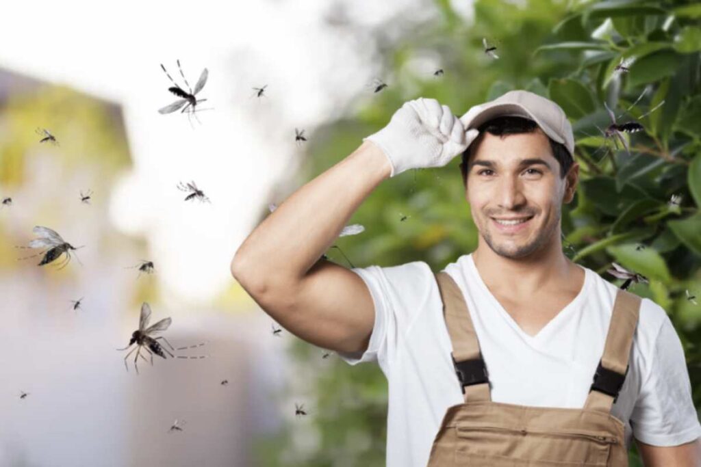 La presenza di zanzare può trasformare questa esperienza in un vero incubo per molti giardinieri e amanti del verde.
