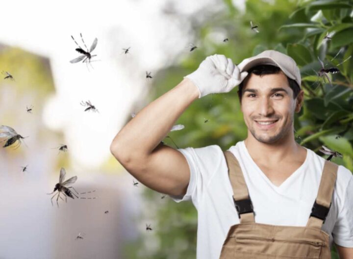 La presenza di zanzare può trasformare questa esperienza in un vero incubo per molti giardinieri e amanti del verde.