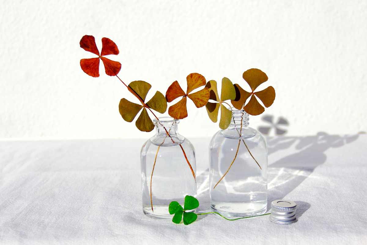 Riciclo creativo: come trasformare i barattoli di vetro in oggetti utili e bellissimi