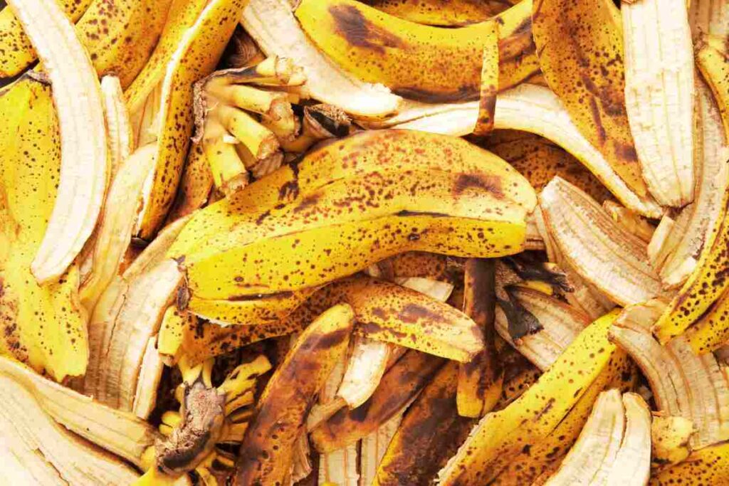 bucce di banana, usi alternativi