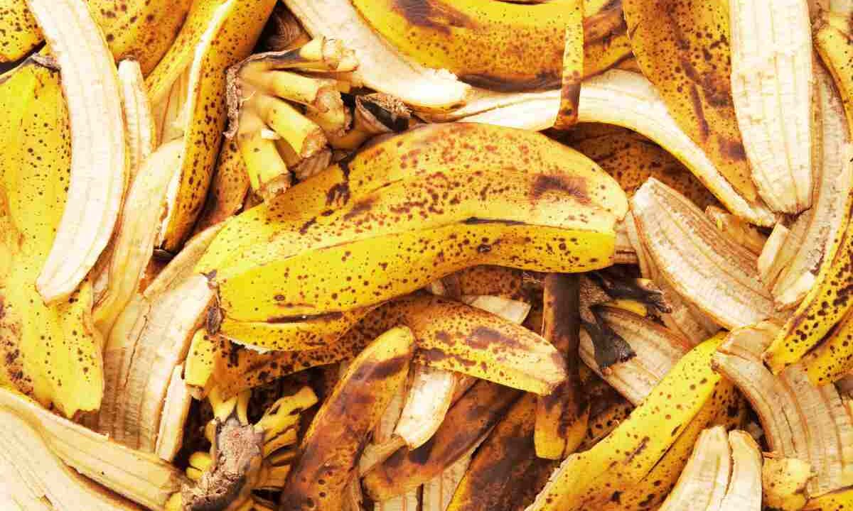 bucce di banana, usi alternativi