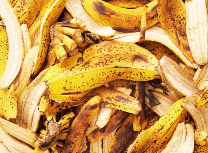 bucce di banana, usi alternativi