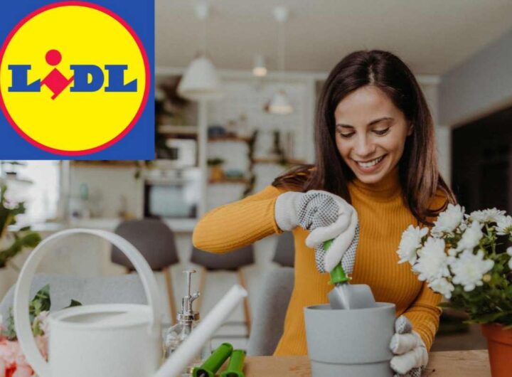 hobby lidl